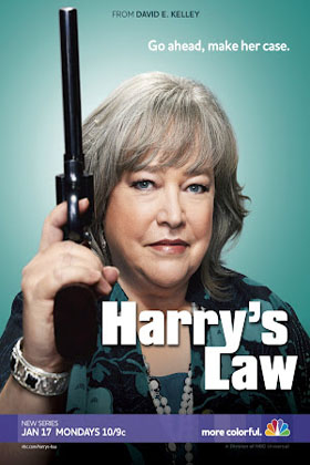 Harry's Law Season 1 DVD